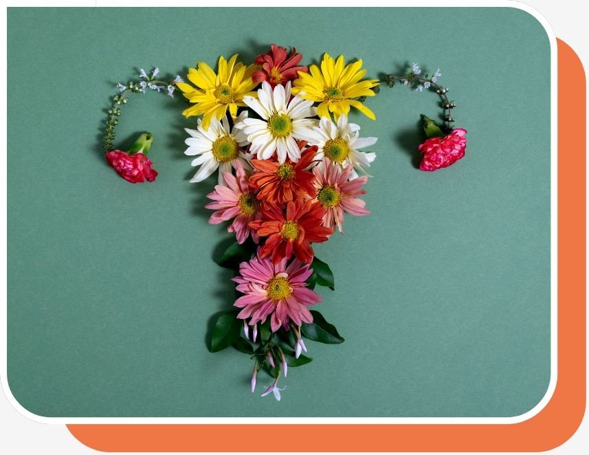 About Edit Gardner - The Wellbeing Edit