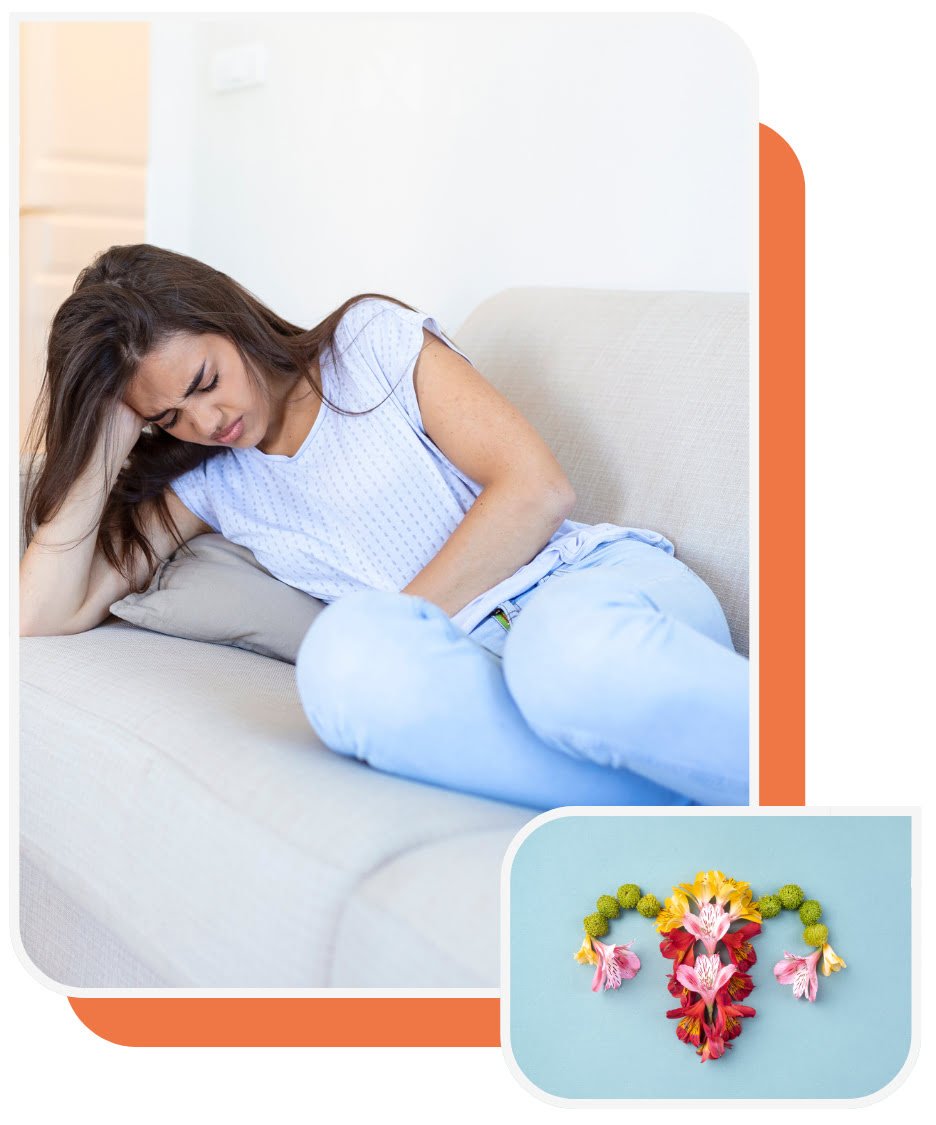 The Wellbeing Edit - For Women - About The Pain-Free Period Protocol™